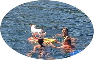 Gita in barca con il cane